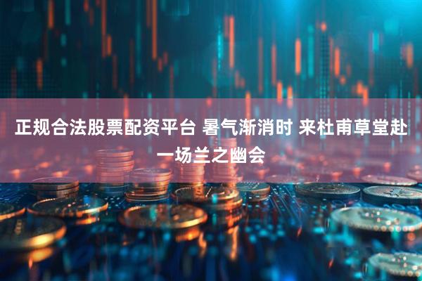 正规合法股票配资平台 暑气渐消时 来杜甫草堂赴一场兰之幽会