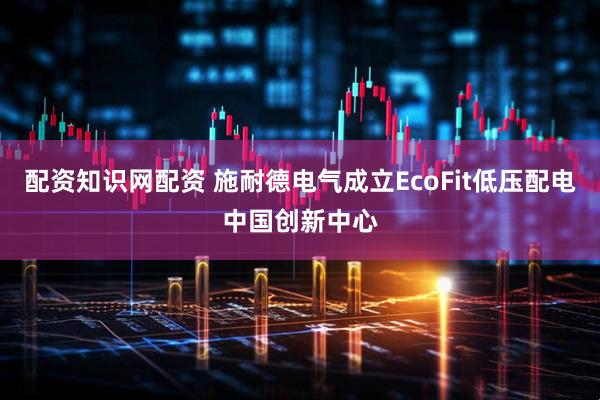 配资知识网配资 施耐德电气成立EcoFit低压配电中国创新中心
